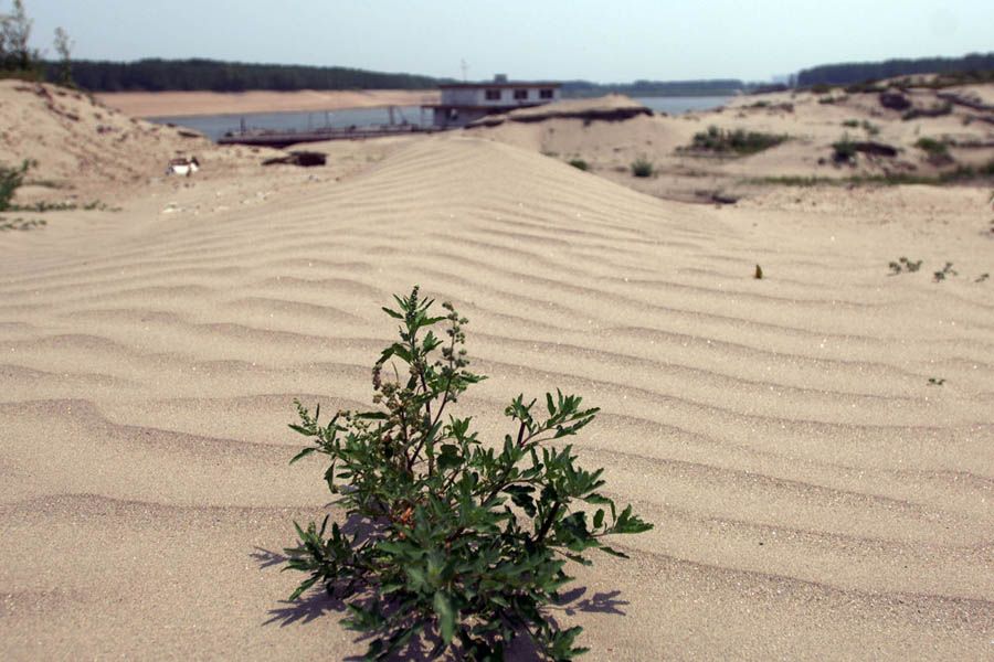 5月19日，汉江东西湖段，受干旱枯水影响，汉江沿岸河床毕露宛如沙漠。CFP