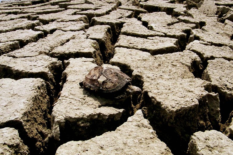 5月19日，汉江武汉段受持续干旱影响，大面积河床裸露。 受持续干旱影响，长江支流汉江水位持续下降，其武汉段水位逼近枯水线。新华社发