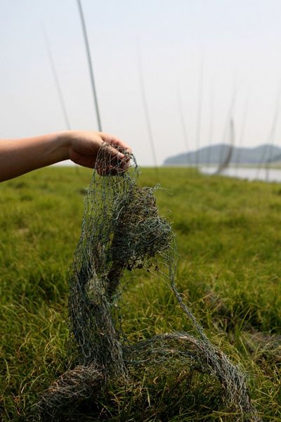 5月28日，在鄱阳湖九江市虞家河乡坪头坝湖区，湖底长满绿草，形成了漂亮的草原景观，草原里到处是废弃的渔网。何光/CFP