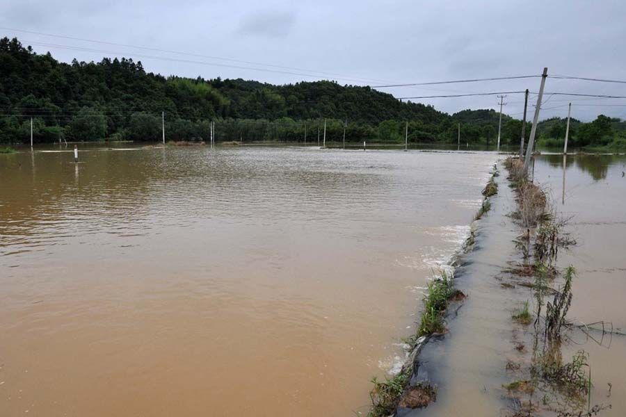 6月6日，江西德兴市，暴雨致洎水河水位上涨，部分农田被淹没。图为被淹的农田。胡敦煌/CFP