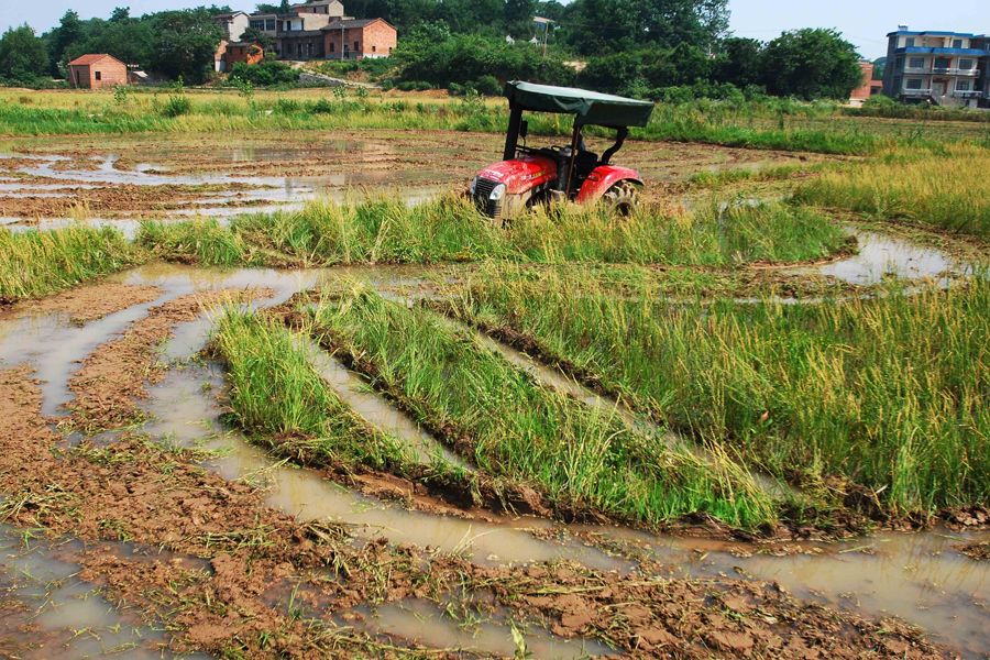 5月29日，在江西九江县城子镇，一台农机在缺水的田间耕作时陷进泥土不得动弹。