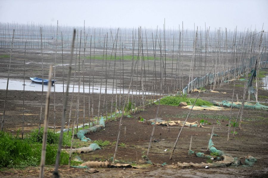 5月24日，洪湖湖底养鱼的围网已经裸露出来。 新华社记者 郝同前 摄