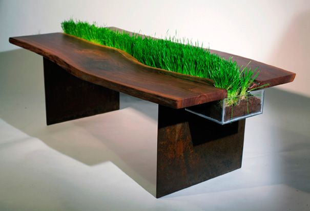 可装卸植物桌——艾米丽·维特斯坦用回收的核桃木和钢铁做成了这张漂亮的有机桌子。