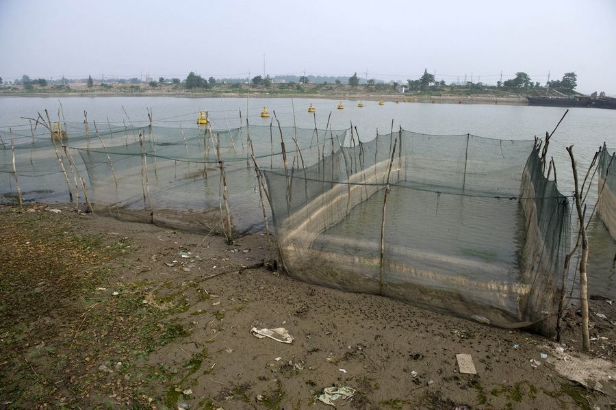 6月21日，洪泽湖边出现多处浅滩，围网养殖受到一定影响。