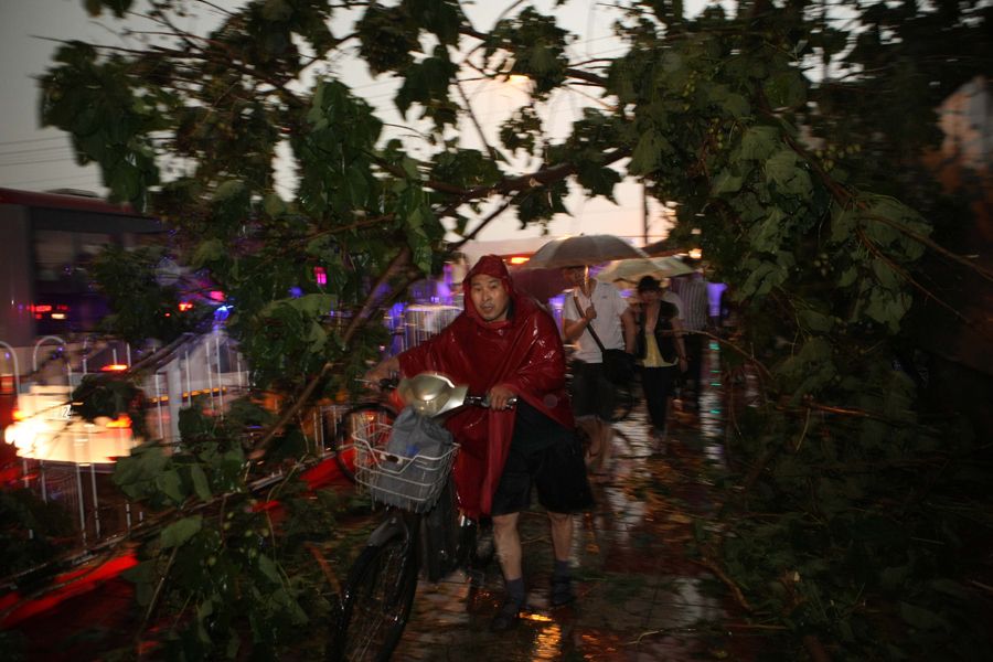 6月23日，行人从因暴雨倒地的树木旁经过。