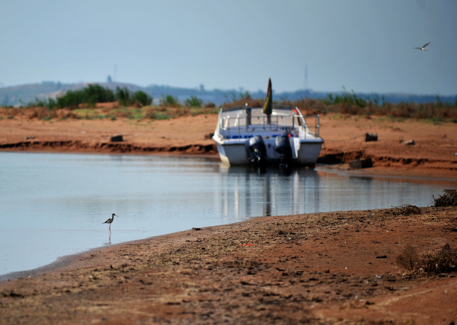 一只鹭鸶在逐渐干涸的湖水中，远处停放着不用的船舶