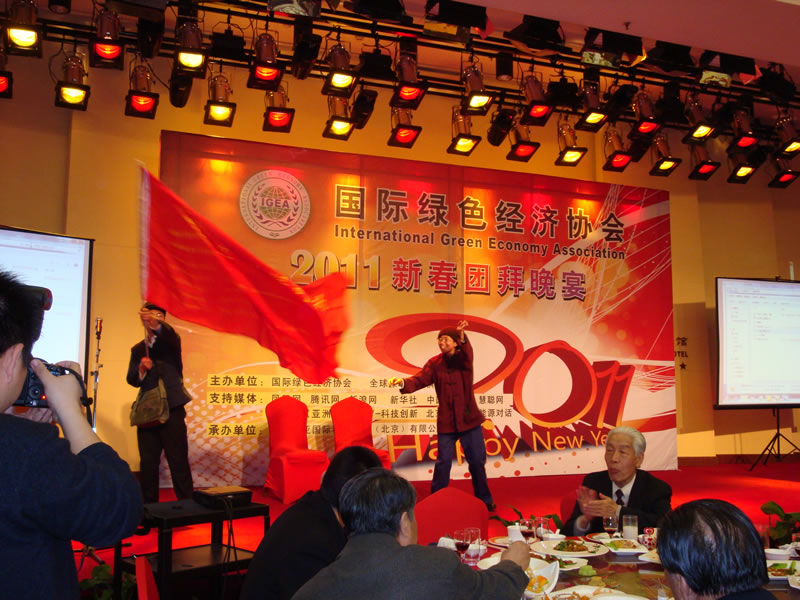 2011国际绿色经济协会新春团拜