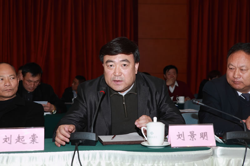 东营三明林业发展股份有限公司董事长刘景明做IGEA 战略合作项目汇报