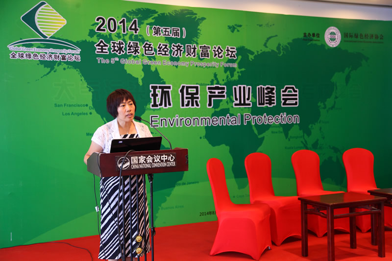 环保产业峰会-中国标准化研究院副院长兼总工李爱仙