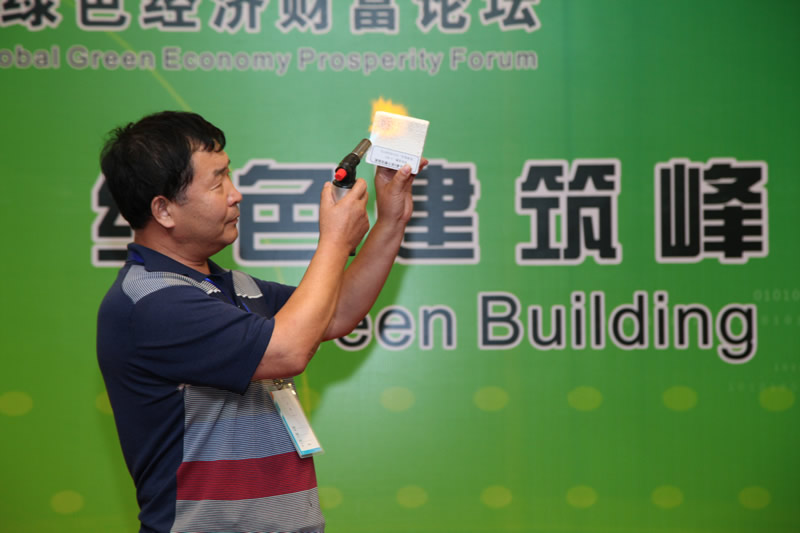 北京华金盛科技有限公司总工程师 陈述华