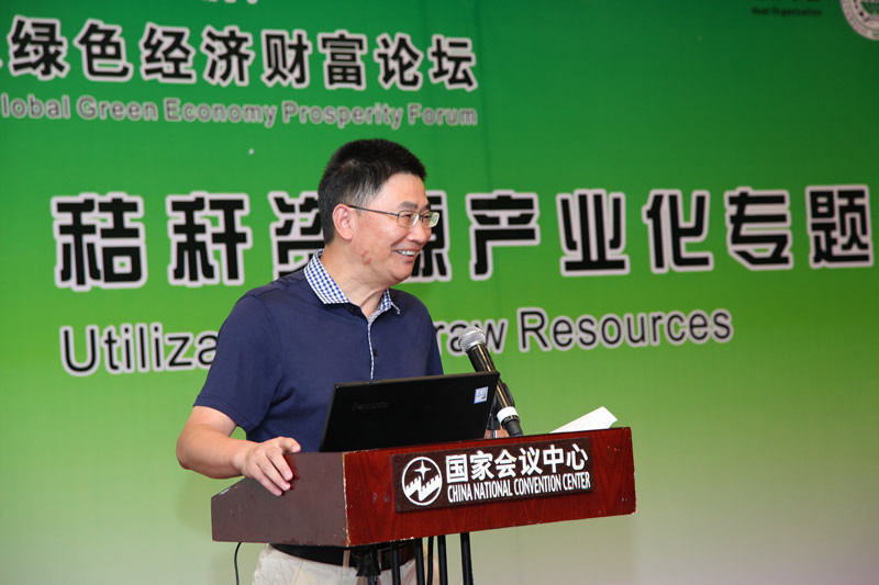 国际绿色经济协会副会长、国家能源委特聘专家 李俊杰