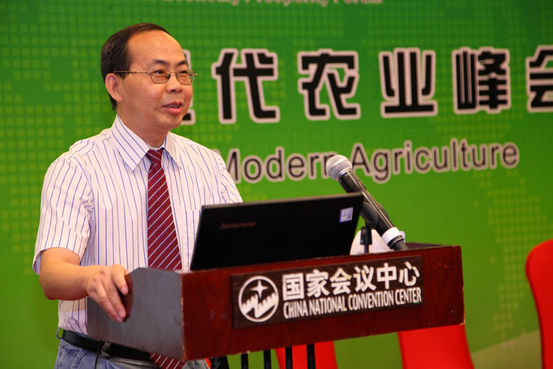 中国农科院农经所现代农业研究室主任蒋和平