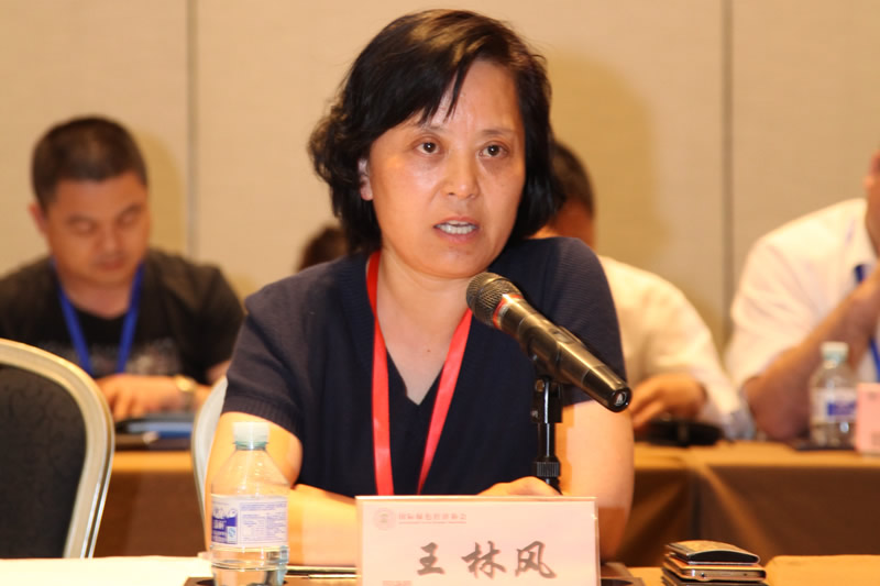 河南天冠企业集团有限公司副总经理王林风