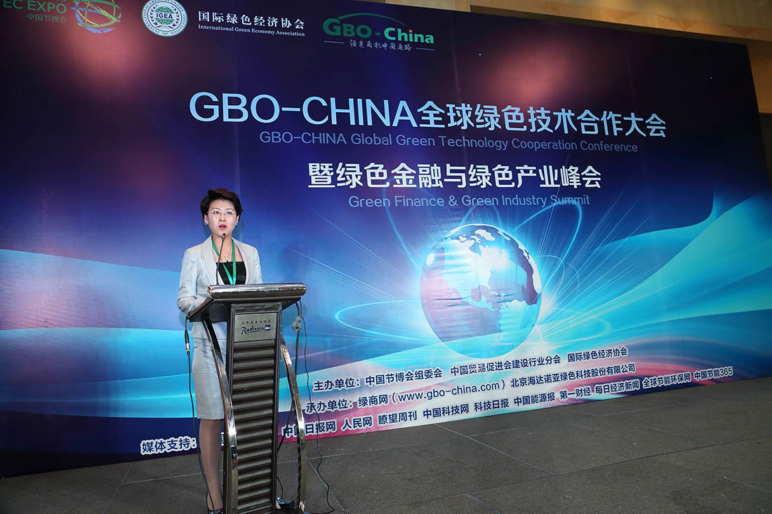 张希艳 国际绿色经济协会副秘书长、绿商网CEO