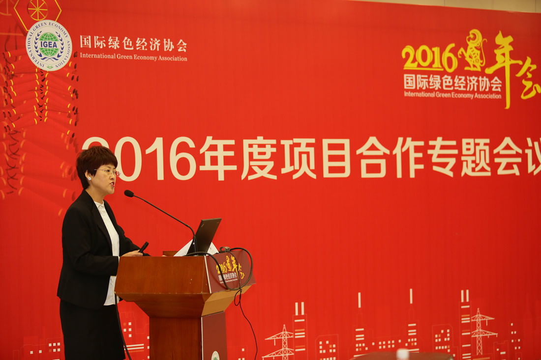 张希艳 国际绿色经济协会副秘书长、绿商网公司总经理