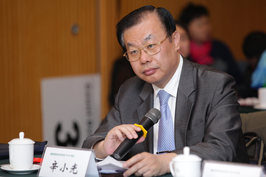 辛小光 国际绿色经济协会副会长、中国人民银行节能减排工作办公室原副主任