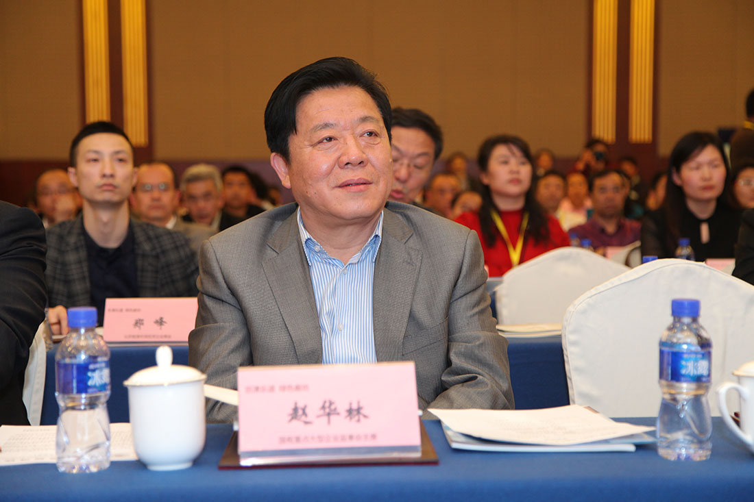 赵华林 国有重点大型企业监事会主席