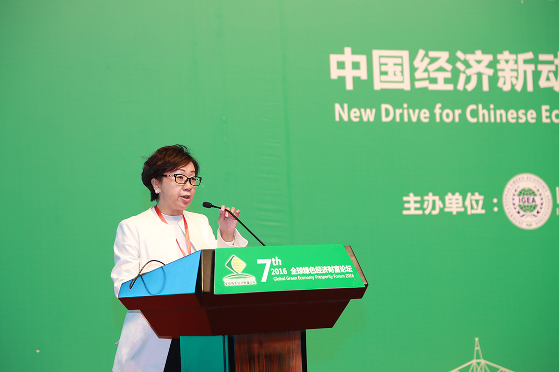 李林芝 凯迪生态环境科技股份有限公司董事长
