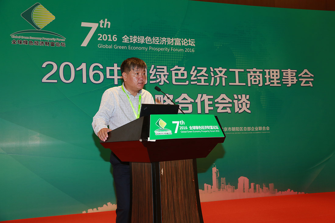 陈明升 国际绿色经济协会首席经济师