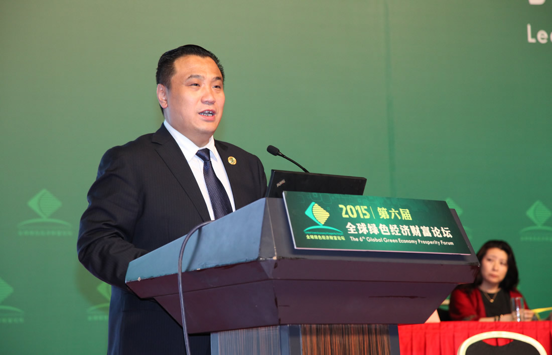 国际绿色经济协会执行会长兼秘书长邓继海总结发言