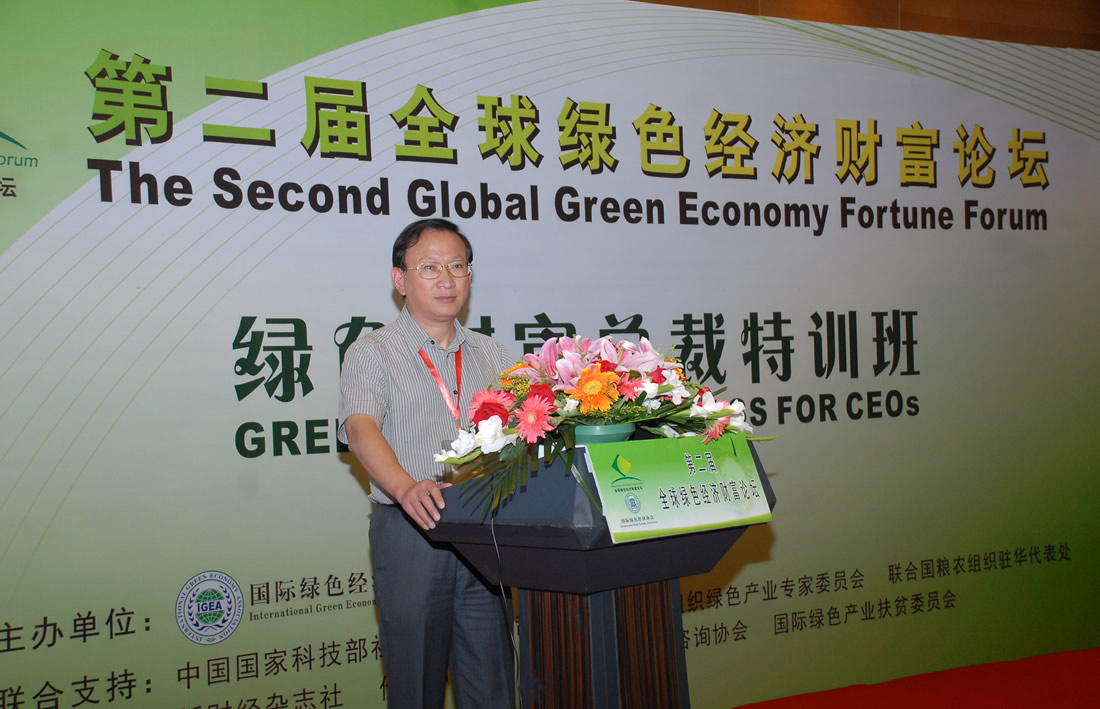 全球绿色经济环境下的企业技术发展模式。孟伟，中国环境科学研究院院长