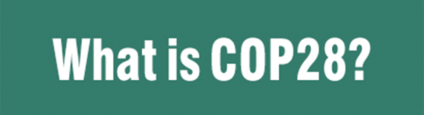 6.png undefined